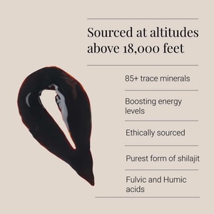 Himalayan Shilajit Resin price In Bangladesh | 30 gm | benefits